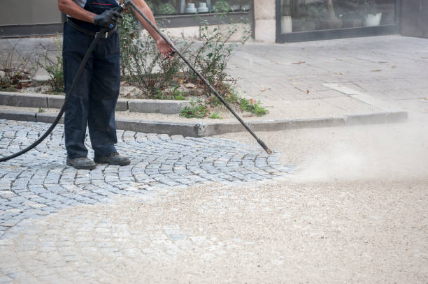 Best Animal Enclosure Cleaning  in Henryetta, OK